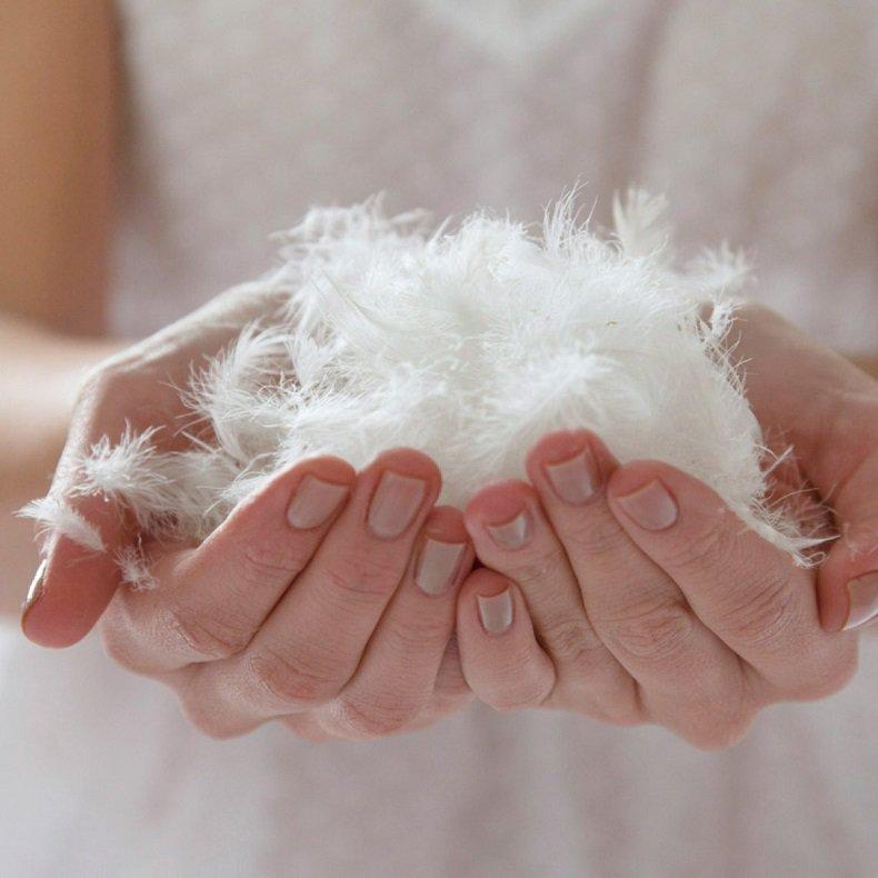 Перед набивкой пух-перо обеззараживают при температуре 130 ⁰С, обрабатывают составами, предотвращающими размножение живых микроорганизмов Птичий пух для набивки постельных принадлежностей